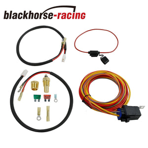 3/8" NPT Dual Electric Cooling Fan Wiring Install Switch165/185 Thermostat Relay - www.blackhorse-racing.com