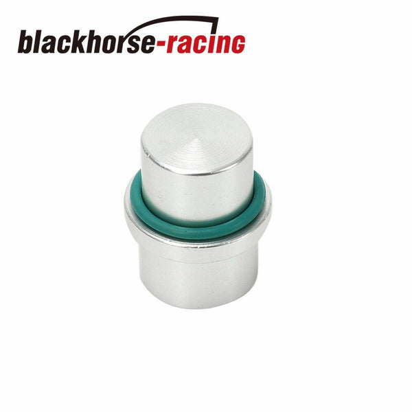 Rear A/C Block Off Kit For 2004-2011 Chrysler Town & Country & Dodge Caravan - www.blackhorse-racing.com